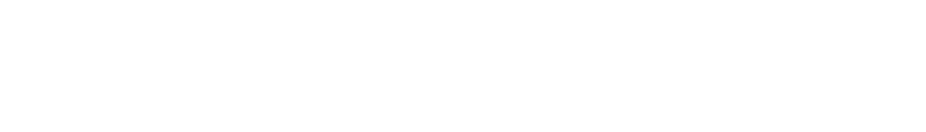 Transvoy White Logo